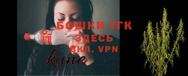 спайс Сосновый Бор