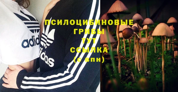 эйфоретик Баксан