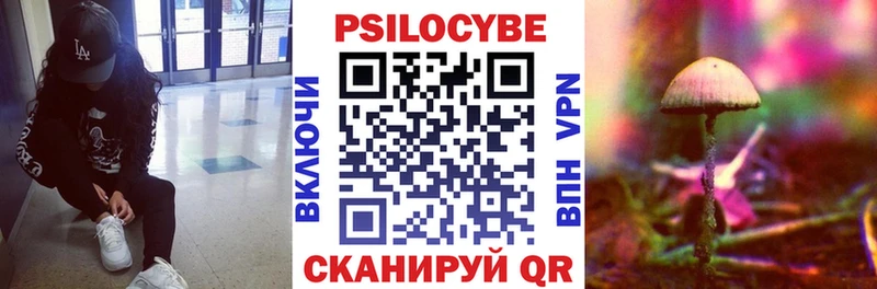 Псилоцибиновые грибы Psilocybe купить сайты Богданович
